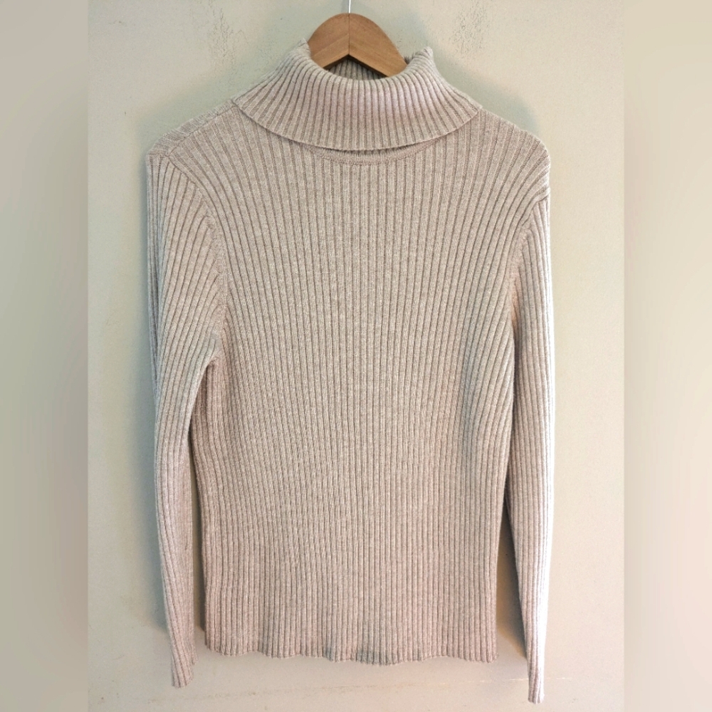 Express Oatmeal Beige Ribbed Turtleneck Sweater Size XL
